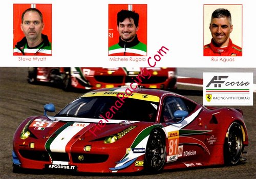 Card 2015 ELMS-GTE (NS).jpg