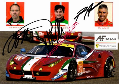 Card 2015 ELMS-GTE (S).jpg