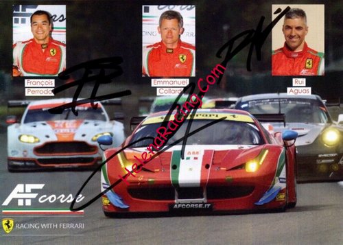 Card 2015 WEC-GTE (S)-.jpg