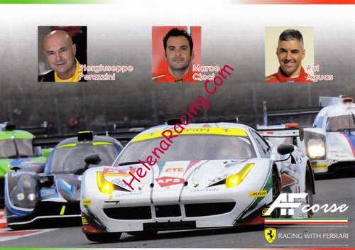 Card 2016 ELMS-GTE-2 (NS).jpg