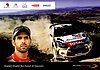 Card 2013 WRC-Abu Dhabi (NS).jpg