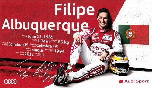 Card 2015 WEC-LMP1 Recto (P).jpg