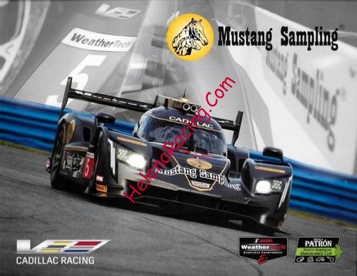 Card 2018 Daytona 24 h (NS).jpg