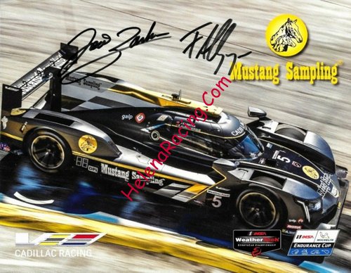 Card 2019 IMSA-SC DPi (S).jpg