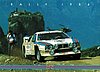 Card 1984 WRC-Martini (NS).JPG