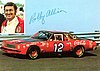 Card 1973 Winston Cup (P).jpg