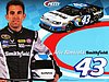 Card 2012 Sprint Cup-Smithfield (NS).jpg