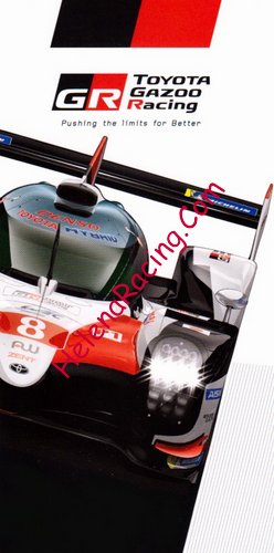 Card 2018-2019 WEC-LMP1 Recto (NS).jpg