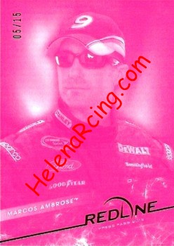 2013 Red Line-1-Pink.jpg