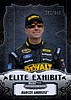 2013 Showcase-Elite Exhibit.jpg
