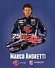 Card 2013 Indy Car (NS)-.jpg