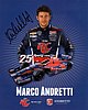 Card 2013 Indy Car (S)-.jpg