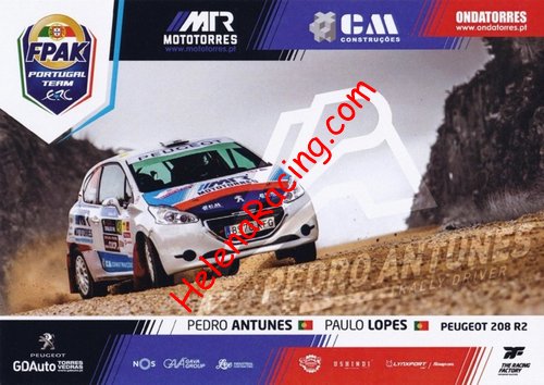 Card 2019 ERC-1-Peugeot (NS).jpg