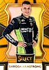 2017 Select-Gold.jpg