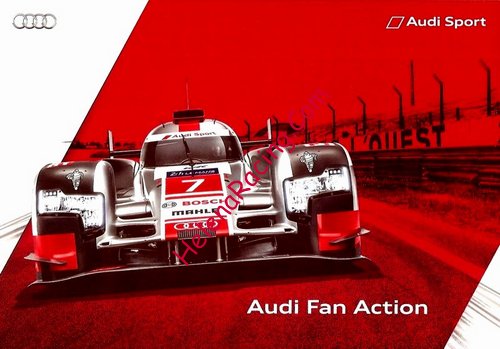 Card 2015 Le Mans 24 h (NS).jpg