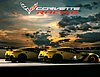 Card 2016 IMSA-GT (NS).jpg