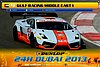 Card 2013 Dubai 24 h (NS).jpg
