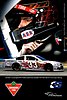 Card 2013 Sprint Cup (NS)-.jpg