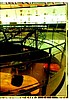 2003 Panini-174.jpg