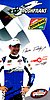 Card 2014 NASCAR-Stock V6 (P).jpg