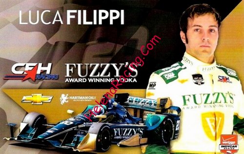 Card 2015 Indy Car (NS)-.jpg