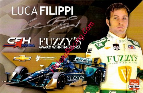 Card 2015 Indy Car (SSilver).jpg