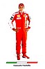 Card 2009 Formula 1-2 (NS).jpg