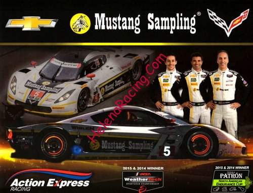 Card 2016 Petit Le Mans (NS).jpg
