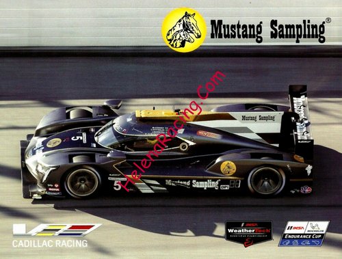 Card 2019 Daytona 24 h (NS).jpg