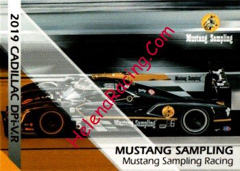 2019 Mustang-Serie II-Cadillac.jpg