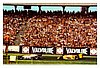 1978 Grand Prix-114.jpg