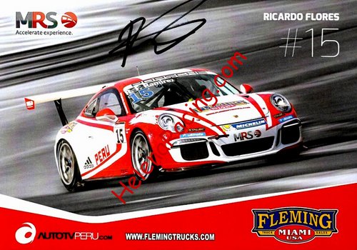 Card 2016 Carrera Cup (S).JPG