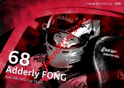 Card 2015 Audi R8 LMS Cup (NS).jpg