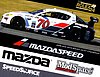 Card 2012 Daytona 24 h (NS).jpg