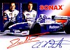 Card 1997 Formula 1-Sonax (P).jpg