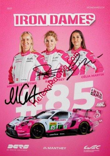 Card 2025 WEC-GT3 (S).jpg