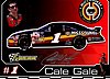 Card 2006 Busch Series (P).JPG