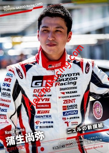 Card 2018 Nurburgring 24 h (NS).jpg