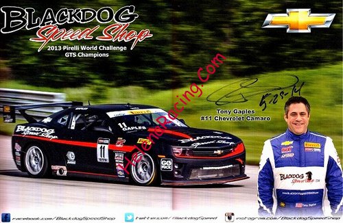 Card 2014 World Challenge (S).jpg