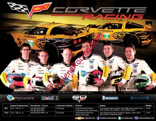 Card 2013 ALMS-GT Verso (NS)-.jpg