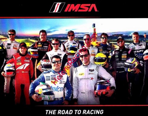 Card 2014 IMSA-GT (NS)-.jpg