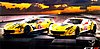 Card 2014 Le Mans 24 h (S).jpg
