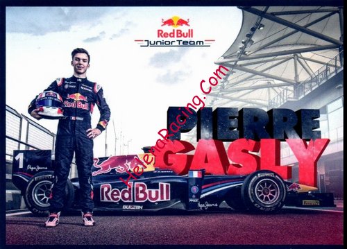 Card 2015 FIA-GP2 (NS).jpg