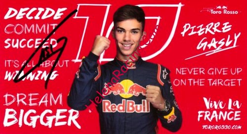 Card 2017 Formula 1 Recto (S).jpg