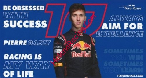 Card 2017 Formula 1 Verso (NS).jpg