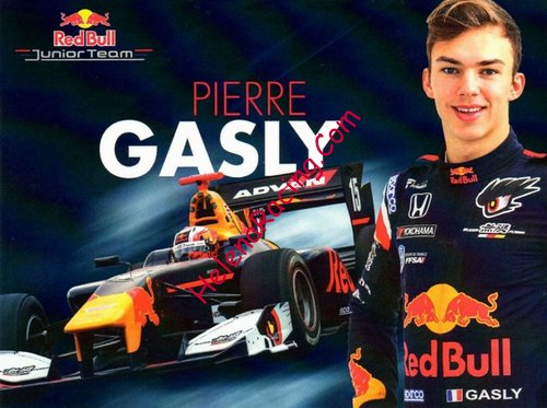 Card 2017 Superformula (NS).jpg