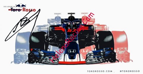 Card 2018 Formula 1 Verso (S).jpg