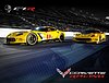 Card 2017 Daytona 24 h Recto (NS).jpg
