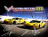 Card 2019 IMSA-GT Recto (S).jpg