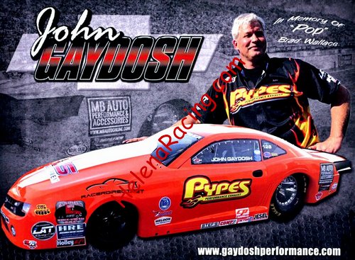 Card 2018 NHRA-Pro Stock (NS).jpg